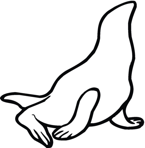 Sea Lion 14 Coloring Page